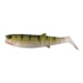 shad-perch