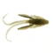 pearl-olive-shad