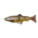 dark-brown-trout