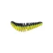black-sunshine-yellow