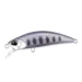 baby-salmon