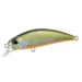 tennessee-shad