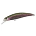 rainbow-trout