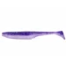 purple-back-shad