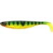 tiger-perch