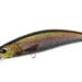 rainbow-trout-nd