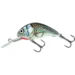 holographic-grey-shiner
