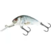 real-dace
