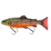 ss-arctic-char