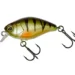 perch