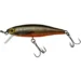 arctic-char