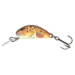 trout