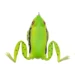 grass-frog