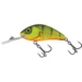 hot-perch