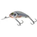 silver-holographic-shad