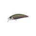 rainbow-trout