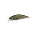 rainbow-trout-nd