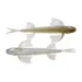 30-minnow-fish