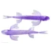 04-lilac
