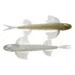 30-minnow-fish