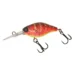 spicy-louisy-craw