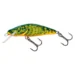 hot-bullhead