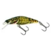 bullhead