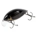 diving-beetle