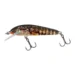 holo-stickleback