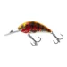 holo-red-perch