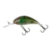 clear-green-gill