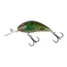 clear-green-gill